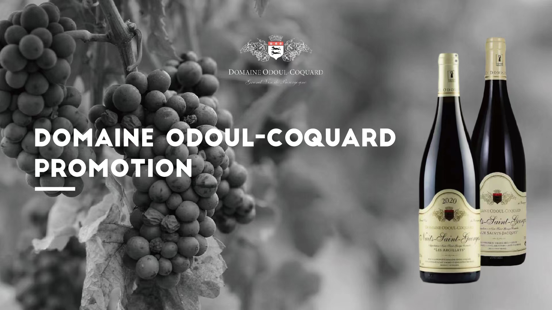 Domaine Odoul Coquard banner20240814.jpg | 520kb | 1920x1080